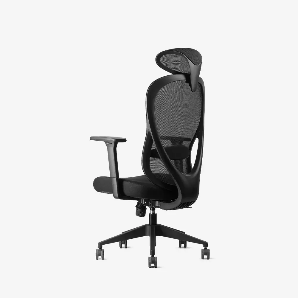Neodax Ava Ergonomic Mesh Chair, Carbon Black