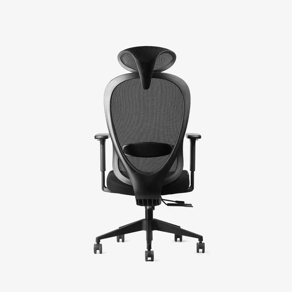 Neodax Ava Ergonomic Mesh Chair, Carbon Black