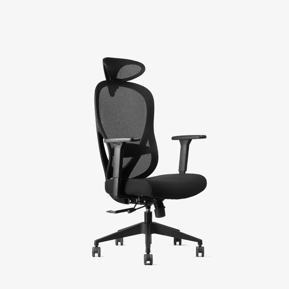 Neodax Ava Ergonomik File Koltuk, Karbon Siyah
